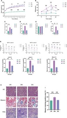 An integrated RNA sequencing and network pharmacology approach reveals the molecular mechanism of dapagliflozin in the treatment of diabetic nephropathy